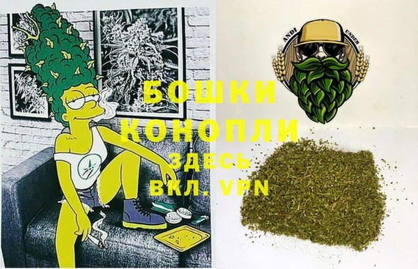ешки Бронницы